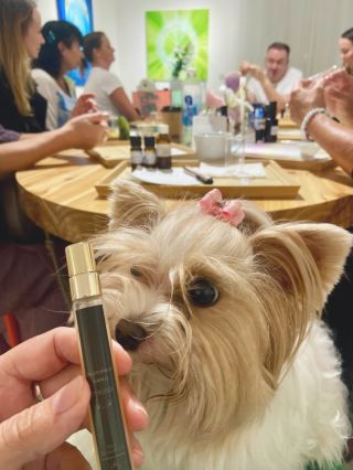 Milí fanoušci a přátelé 😃 Ze srdce děkuji všem jenž se zúčastnili včerejšího prvního setkání Alchymické cesty u nás v...